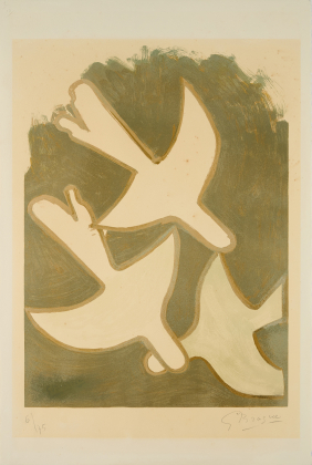 Les oiseaux blancs