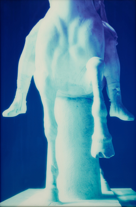 Untitled (Reiter) IV