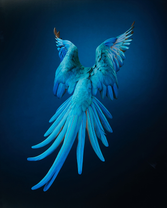 Spix's Macaw - Rearview - Unextinct