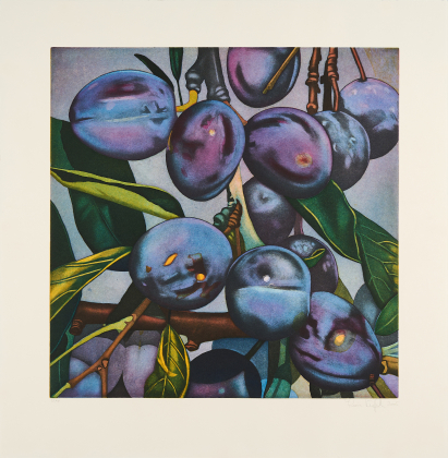 Untitled (Pflaumen)