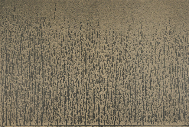 Ohne Titel (Aus: River Avon Mud Drawings)