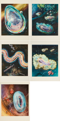 Proof for Ars Bacteriologica