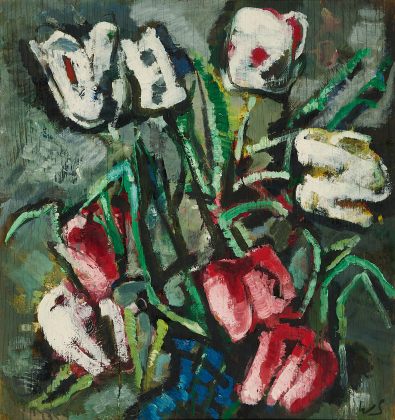 Rote und weiße Tulpen