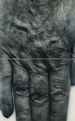 Self Portrait (Hand, two panels, vertical)