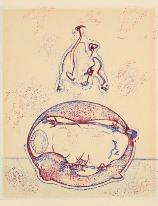 Après moi le XXe siècle (From: Hommage à Max Ernst)