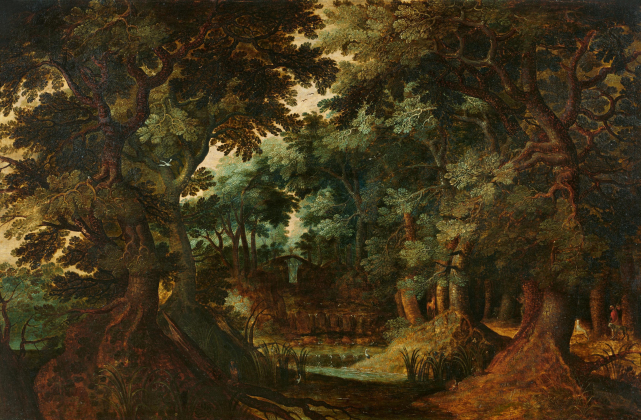 Forest Insides with Impressive Oaks