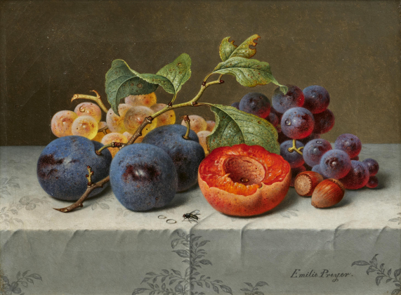 Still Life with Fruit