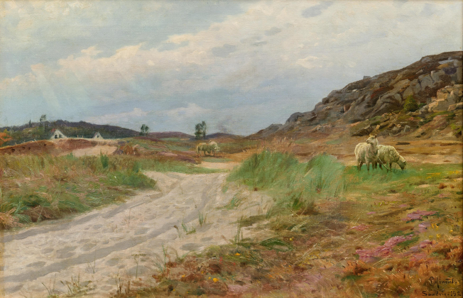 Dünenlandschaft auf Bornholm mit Schafen