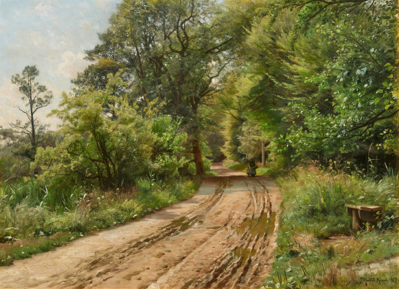 Waldweg bei Raadvad