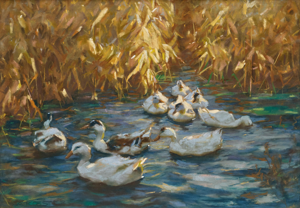 Enten im leuchtenden Herbstschilf
