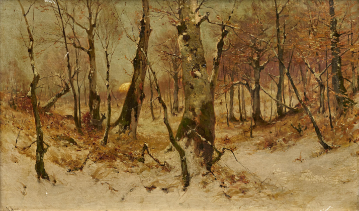 Abenddämmerung im Winterwald
