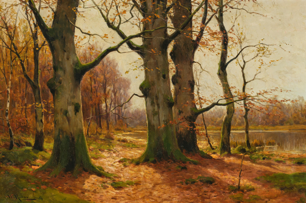 Herbstwald am Seeufer