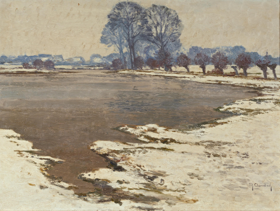 Winterlandschaft in den Erftauen