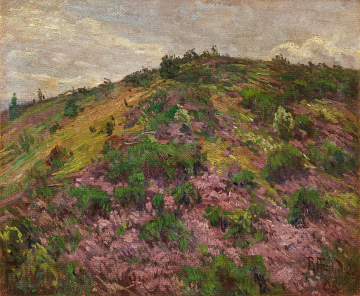 Heath Hill near Reifferscheid