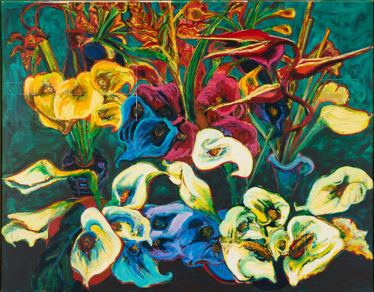 Calla