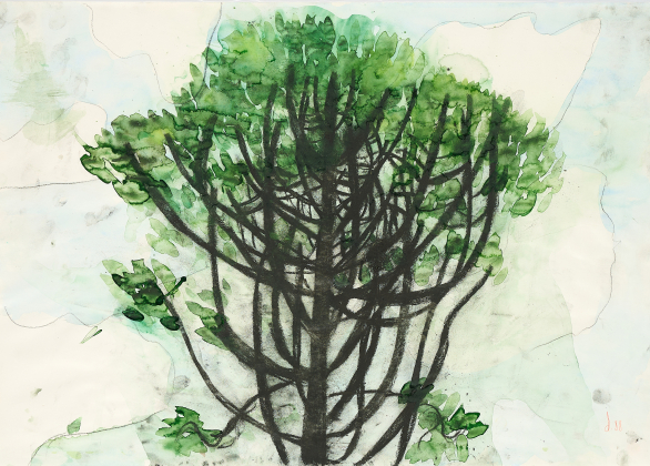 Untitled (Baum)