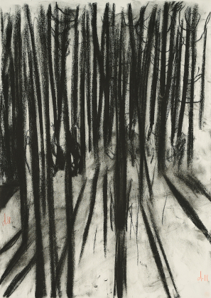 Untitled (Wald)
