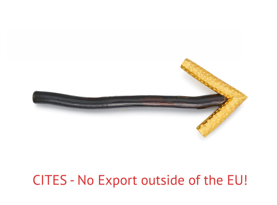 Black Coral-Gold-Brooch 'Arrow'