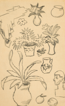 Studienblatt mit Blumentöpfen