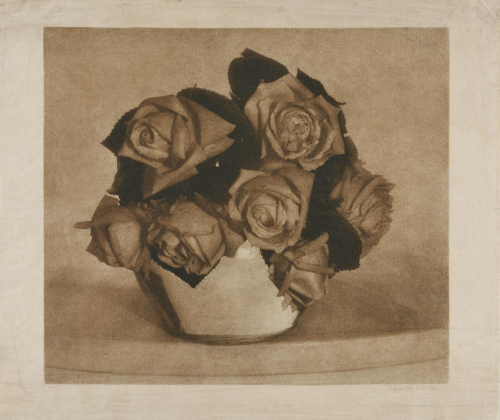 Ohne Titel (Vase mit Rosen)
