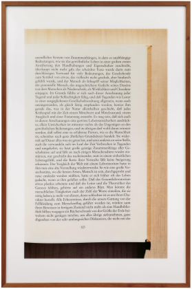 Untitled XII (Musil I)