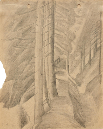 Weg in den Wäldern, Harzgebirge